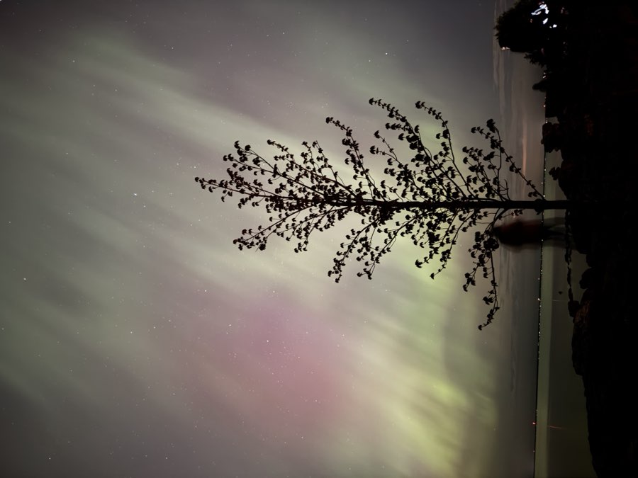 Aurora borealis at Collingwood, Ontario, second frame