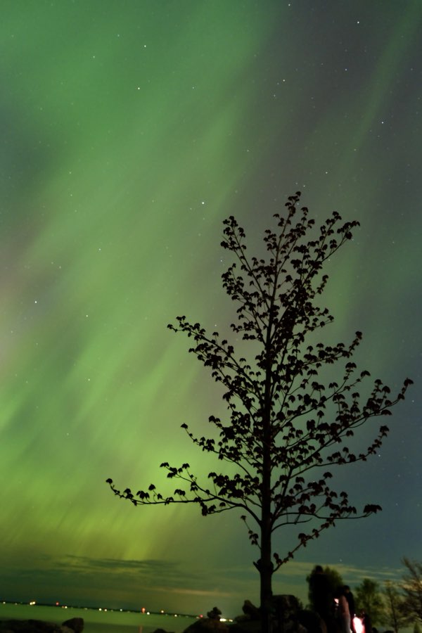 Aurora borealis photographed at Collingwood, Ontario